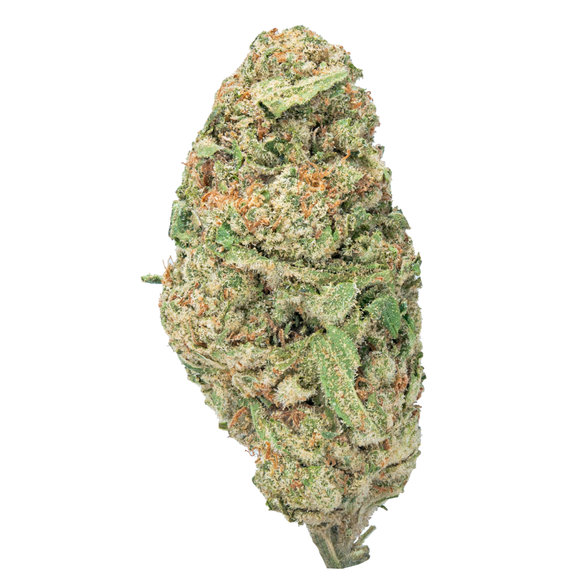 Gelatti X Zkittles