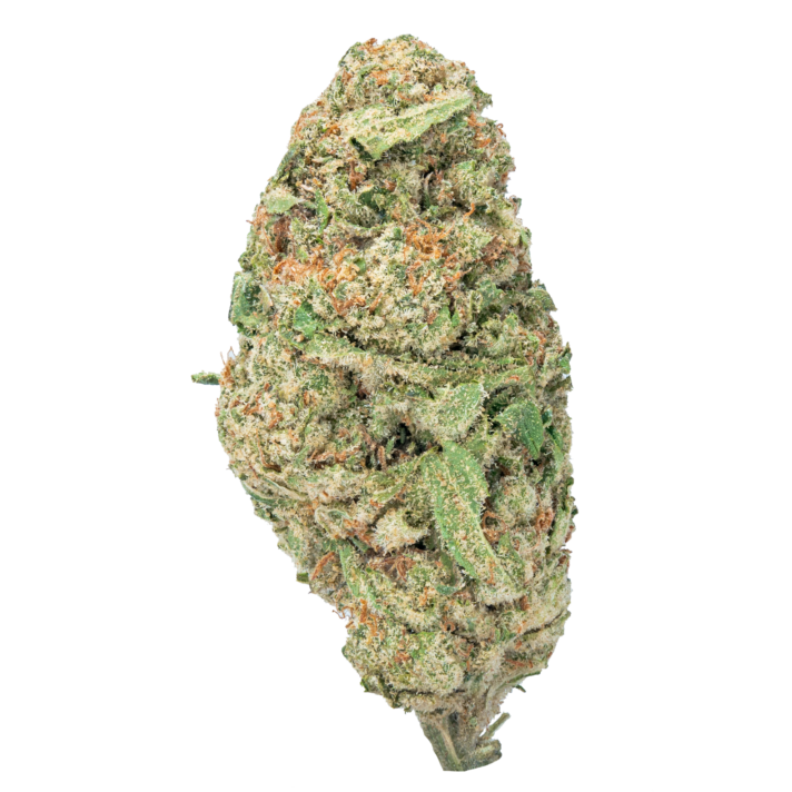 Gelatti X Zkittles