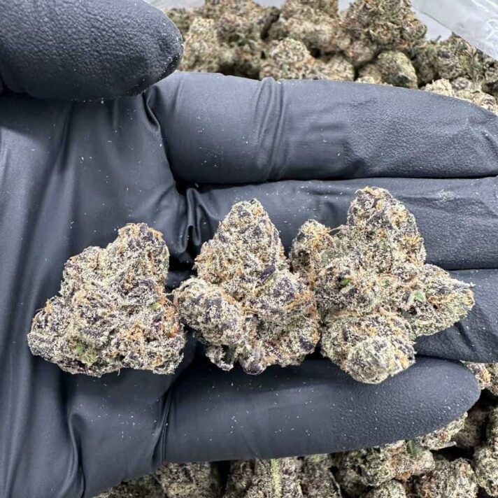 LEMON CHERRY GELATO