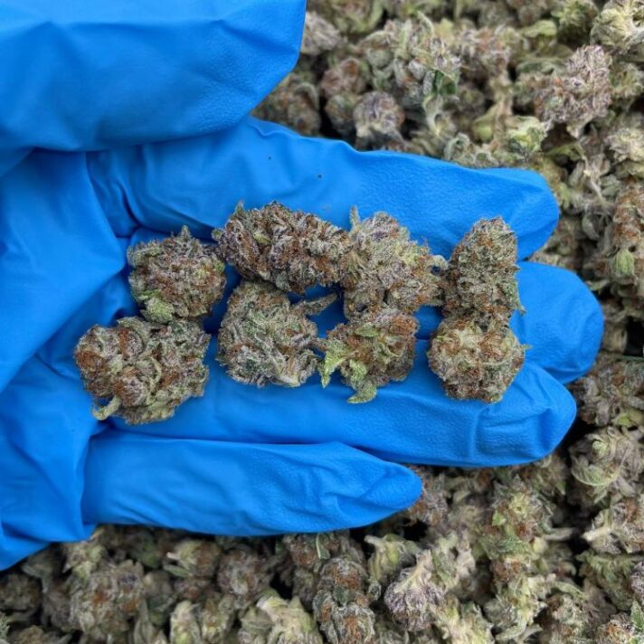 TRUFFLE DELIGHT