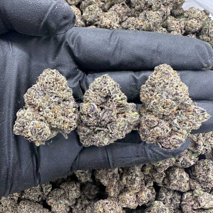 NUGGY GELATO